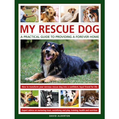 My Rescue Dog: A practical guide to providing a forever home – Hledejceny.cz