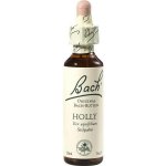 Bachovy esence HOLLY č.15 Cesmína ostrolistá 20 ml – Hledejceny.cz