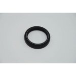 SKF gufera pro přední vidlice BMW HP4 1000 12-14, R 1200 14-20, S 1000 RR, XR, R 08-18 ( )