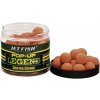 Návnada a nástraha Jet Fish Legend Pop Up Švestka/Česnek 60g 12mm