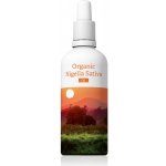 Energy Organic Nigella Sativa 100 ml – Hledejceny.cz