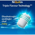 NIQUITIN FRESHMINT ORM 4MG GUM MND 100 I – Zboží Mobilmania