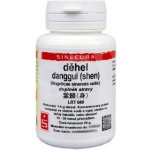 Sinecura Děhel danggui shen prášek 20 g – Hledejceny.cz