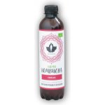 Puhdistamo Kombucha BIO 370 ml raspberry Bio Kombucha malina – Hledejceny.cz