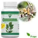 Oro Verde Chuchuhuasa Chuchuhuasi 350 mg 100 kapslí – Hledejceny.cz