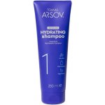 Tomas Arsov intensive hydrating šampon 250 ml – Hledejceny.cz