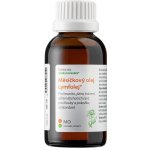 Dědek kořenář Novy Měsíčkový olej Lymfolej 100 ml – Hledejceny.cz