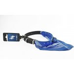 Profizoo Obojek + bavlněný šátek – Zboží Mobilmania