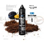 Adams vape Plum Engine Born to Vape Shake & Vape 10 ml – Zboží Mobilmania