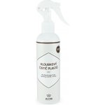 Alori Nano Hloubkový čistič plastů 250 ml | Zboží Auto
