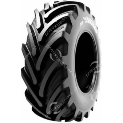TVS Eurogrip TIGERTRAC 460/85-34 147/150D TL – Hledejceny.cz