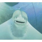 Midi Lidi - Give Masterpiece A Chance – Sleviste.cz