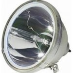 Lampa pro projektor Vivitek 5811116206-S, Originální lampa s modulem – Sleviste.cz