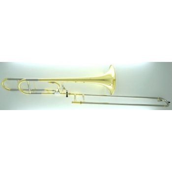 Carol Brass CTB-6219-YNNN-N3