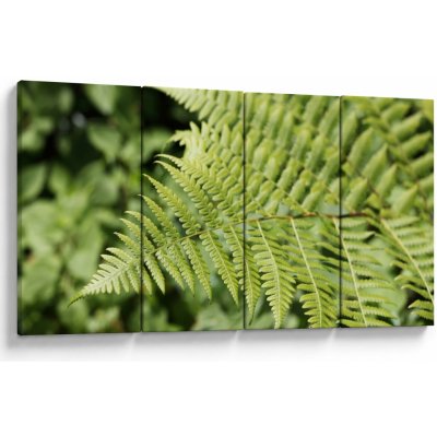 Obraz - Kapradinový list, Čtyřdílný 160x80 cm – Hledejceny.cz