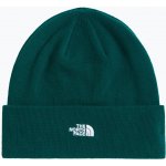 The North Face Norm Beanie hunter green – Hledejceny.cz