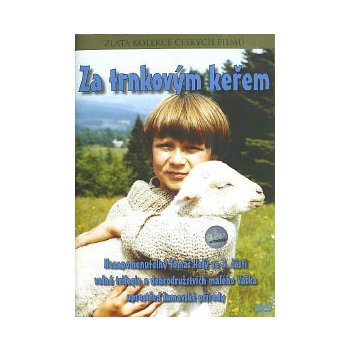 Gajer václav: za trnkovým keřem DVD