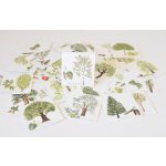 Betexa Pexetrio: Znáš naše stromy? – Zboží Živě