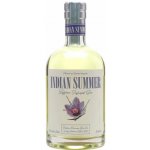Duncan Taylor Indian Summer Saffron Infused Gin 46% 0,7 l (holá láhev) – Zboží Dáma