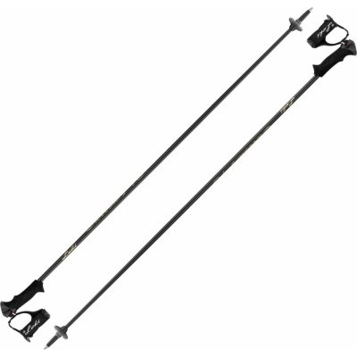 Leki Carbon 14 S W 2019/20 – Zboží Dáma