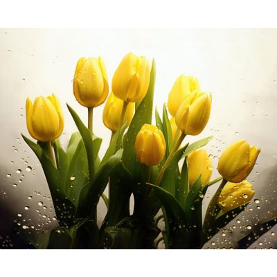 ZUTY Obrazy na stěnu - Žluté tulipány v kapkách deště Rozměr: 40x50 cm, Rámování: bez rámu a bez vypnutí plátna