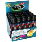 Z Konzept Arthro Forte shots mango 20 ampulí – Hledejceny.cz