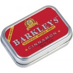 Barkleys Cinnamon Mini bonbóny s příchutí skořice 15 g – Zboží Dáma