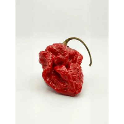 Armageddon – Zboží Dáma