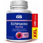 GS Echinacea Forte 600 mg XXL 90 + 20 tablet – Hledejceny.cz