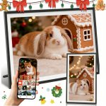 Denver PFF-1042LW – Zboží Mobilmania