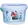 Vitamín pro koně Orling Gelapony VitaMin 0,9 kg