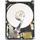 WD Scorpio Blue 320GB, 2,5", 5400rpm, 8MB, ATA, WD3200BEVE