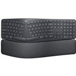 Logitech Ergo K860 + Vertical Mouse + Brio 500 920-009168?KIT – Zboží Mobilmania