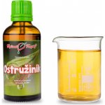 Bylinné kapky Ostružník tinktura 50 ml – Hledejceny.cz