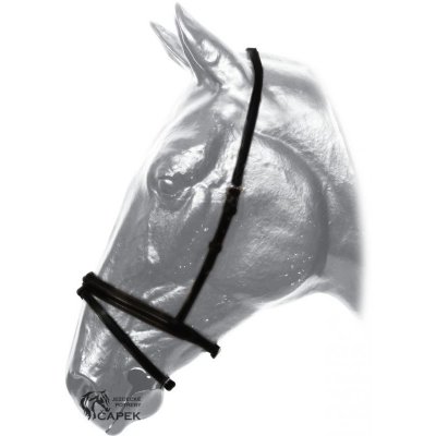 Kentaur anglický nánosník Černá – Zbozi.Blesk.cz