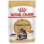 Royal Canin Mainecoon 12 x 85 g – Sleviste.cz