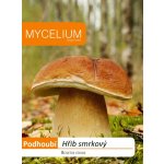 Hřib smrkový 10 g – Sleviste.cz