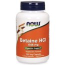 Now Foods Betaine HCl 120 kapslí