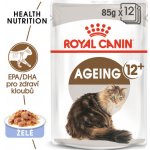 Royal Canin Feline Ageing 12 + Jelly 12 x 85 g – Hledejceny.cz