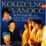 Různí - Kouzelné Vánoce CD – Hledejceny.cz