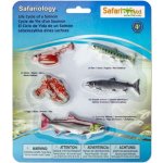 Safari Ltd. Životní cyklus Losos – Hledejceny.cz