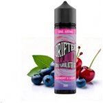 Juice Sauz Drifter Bar Shake & Vape Blueberry Cherry 16 ml – Zbozi.Blesk.cz