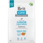 Brit Care Grain-free Junior Large Breed Salmon 3 kg – Zboží Mobilmania