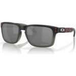 Oakley Holbrook – Zboží Dáma