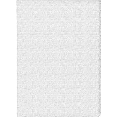 Impap Plátno na rámu 40 x 40 cm 280g/m2 5155 – Zboží Dáma