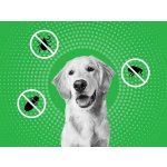 Frontline Combo Spot-On Dog M 10-20 kg 1 x 1,34 ml – Hledejceny.cz