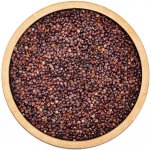 Les fruits du Paradis Quinoa BIO černá 0,5 kg – Zboží Dáma