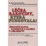 Helenčino pečení / Zámecké cukroví - Helena Vybíralová – Hledejceny.cz