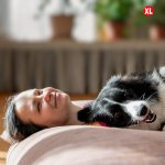 Silviger Sharebag Pelíšek – Hledejceny.cz