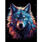 vytvarnehracky.cz Malování na černé plátno 30 x 40 cm vlk – Hledejceny.cz